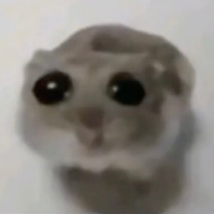 Sad Hamster Violin Meme - PHONK VERSION