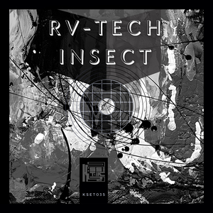 Insect (Original mix)