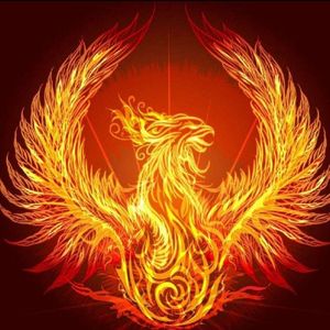 爱如火(少年版)