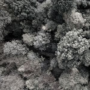 诗意的睡眠节奏