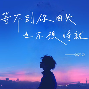 等不到你回头也不想将就-DJ德朋
