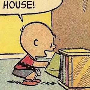 Avicii - Levels（ZEKI remix）