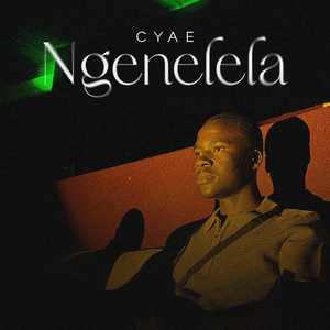 Ngenelela