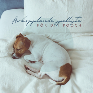 Fullständig medvetenhet