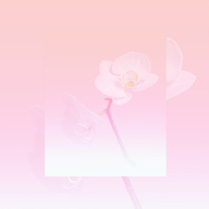 Draphyxon Mynzithar (Original Mix)