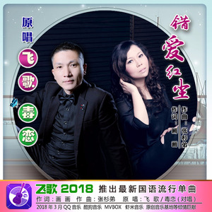 错爱红尘 (对唱伴奏)