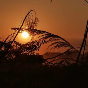 爱江山更爱美人