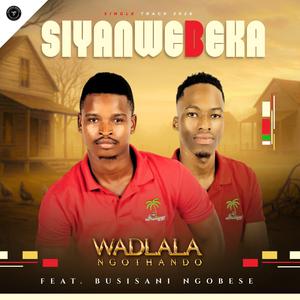 Wadlala ngothando (feat. Busisani Ngobese)