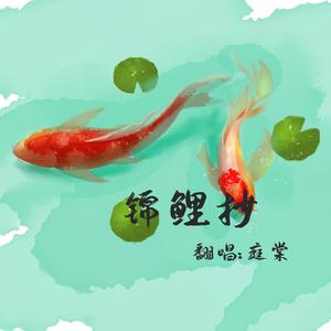 锦鲤抄