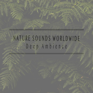 Soothing Ambient Waves