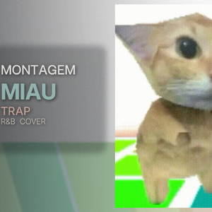 Montagem Miau (R&B)