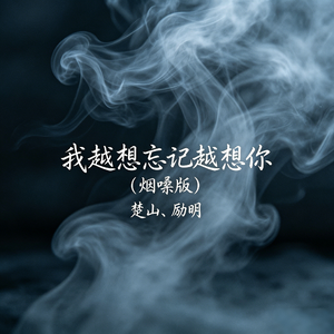 我越想忘记越想你(烟嗓版)