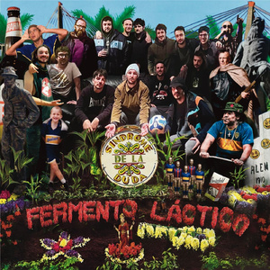 Alonso Quijano o Don Quijote de la Mancha?