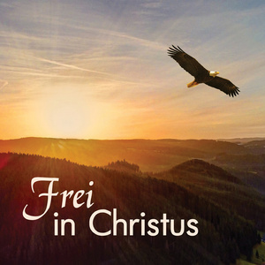 O, könnt ich entfliehn