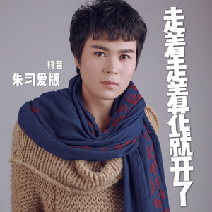 走着走着花就开了 (抖音版)