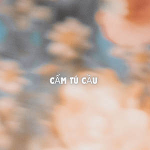 CẨM TÚ CẦU