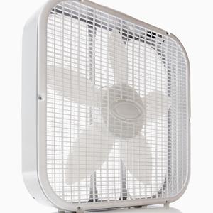 Real Fan