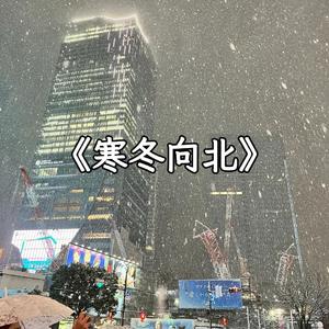 寒冬向北