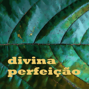 Divina Perfeição