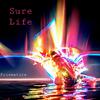 Prismatica - Sure Life