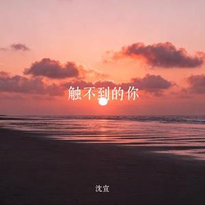 触不到的你