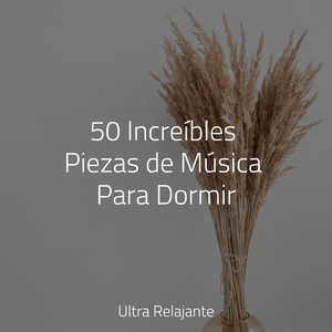 Monte en La Almohada