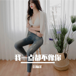我一点都不像你