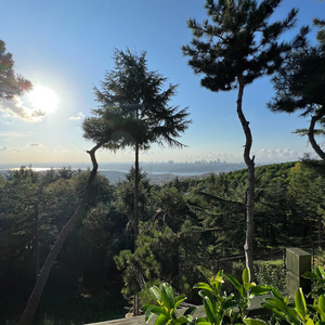 down 2 ride (2025 Remastered Version)