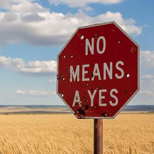 No Means a Yes (Radio Edit)