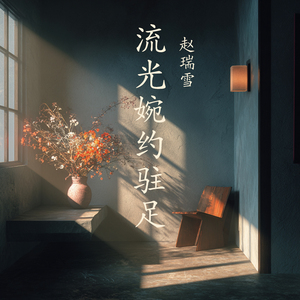 流光婉约驻足