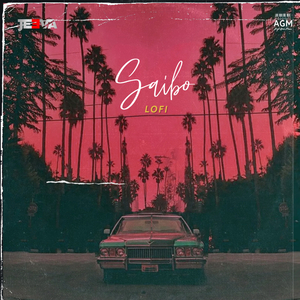 Saibo (Lofi)