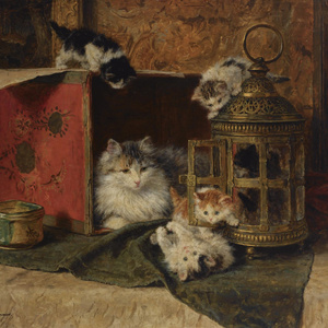 Wish~银河英雄传说~邂逅~ED