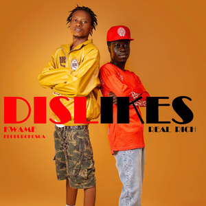 Dislikes