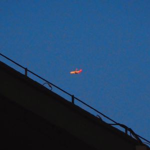 潮疑（Ask The Waves What To Do）