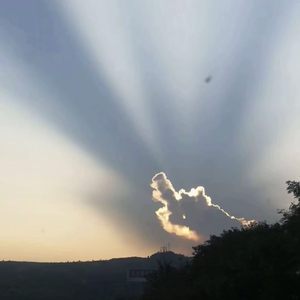 我是毒液（特别版）