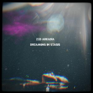 Dreaming In Stasis