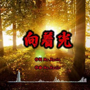 向着光