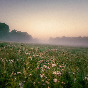 Bedtime And Meditation Aid