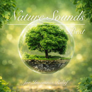 癒しの音色が心地いい高音質睡眠導入BGM 安眠・癒しリラックスのα波音楽