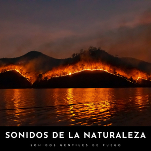 Sonidos De Fuego y Agua