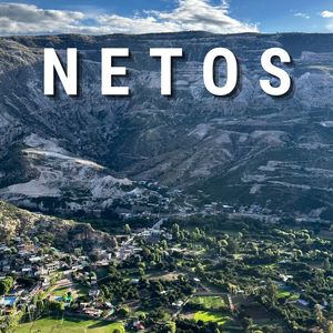 Netos