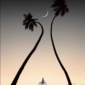 我已忘了你是谁