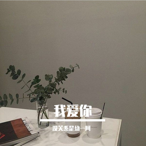 我爱你（cover 程佳佳）