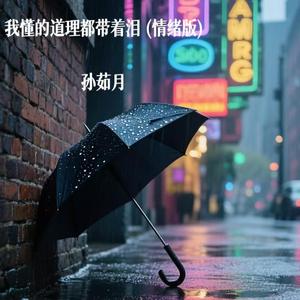我懂的道理都带着泪(情绪版)