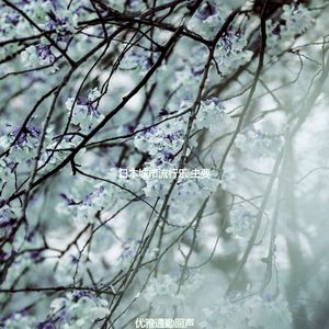 抚慰的通勤回忆