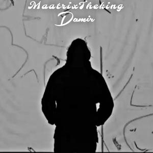 Damir