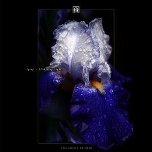 Flickering Lights(Aleja Sanchez Remix)