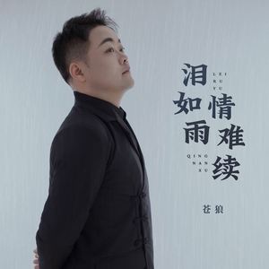 泪如雨情难续