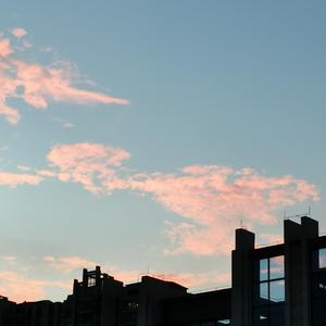 给我一个理由忘记