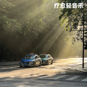 宠物陪伴温馨纯音乐・猫咪伸腰的慵懒